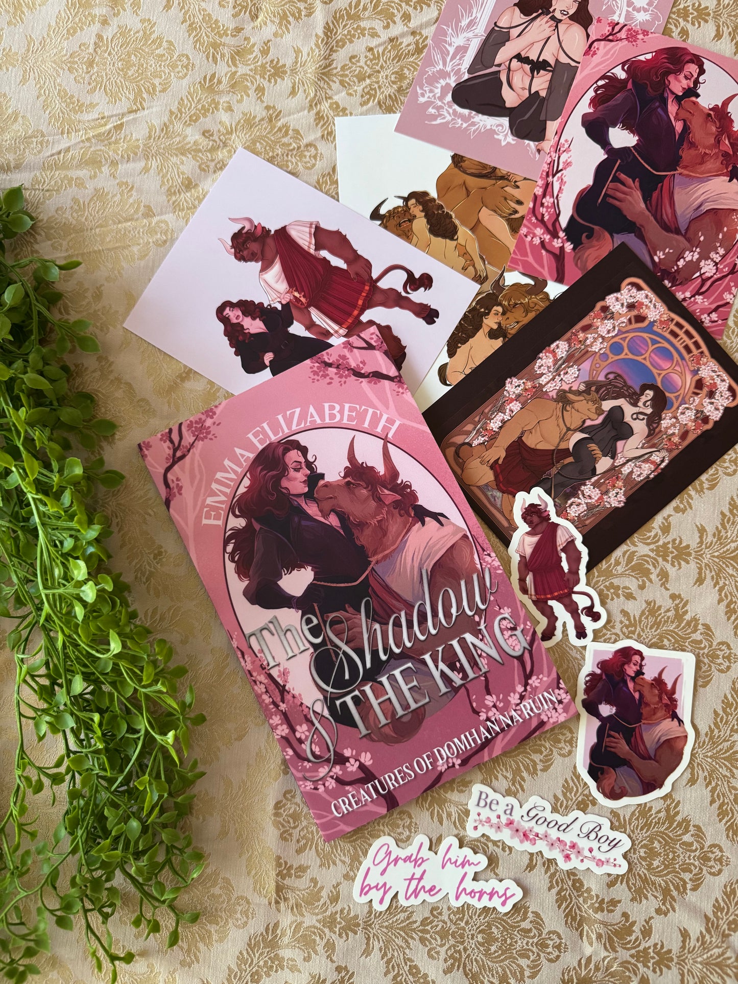 The Shadow & The King Paperback