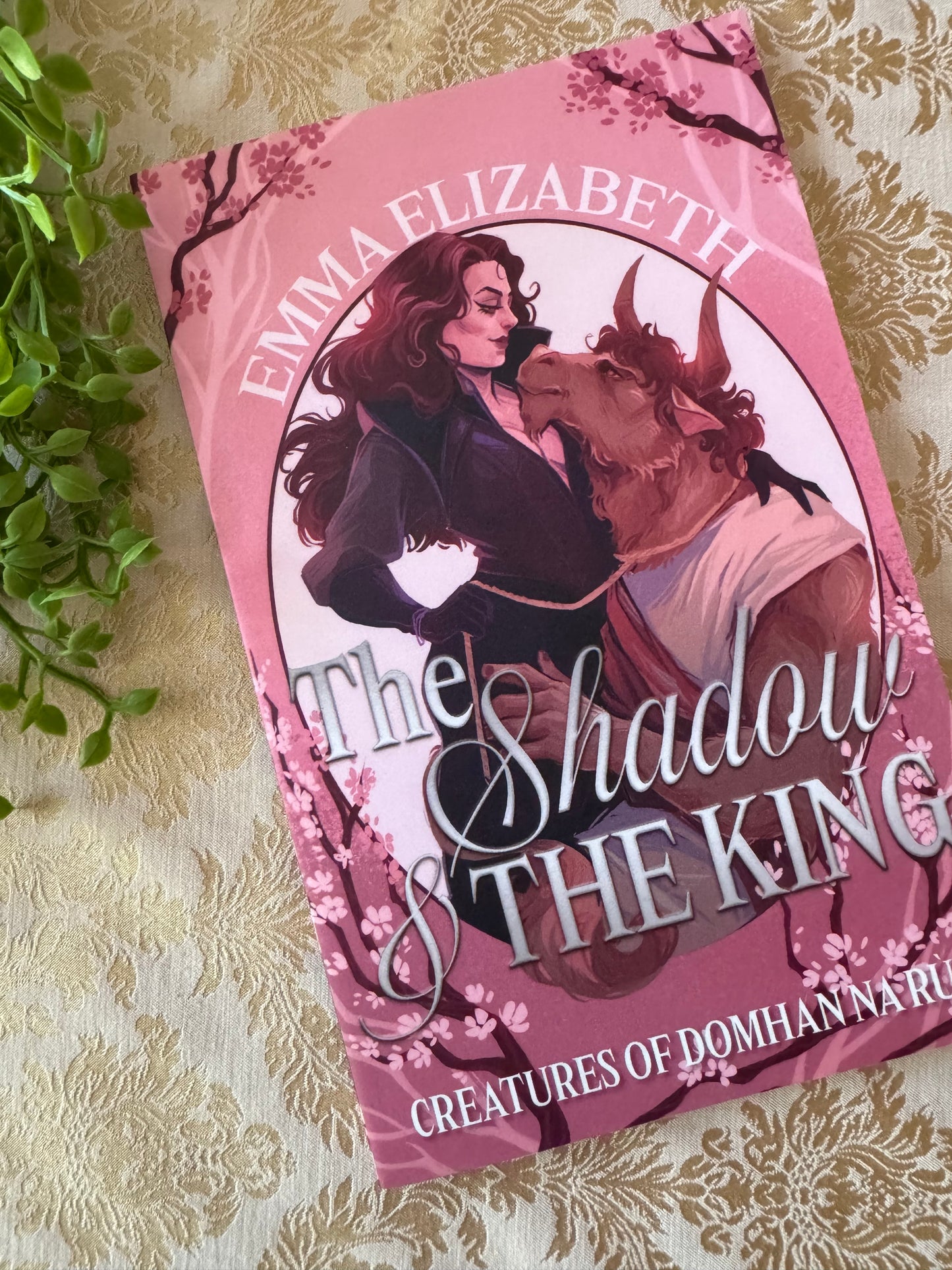 The Shadow & The King Paperback