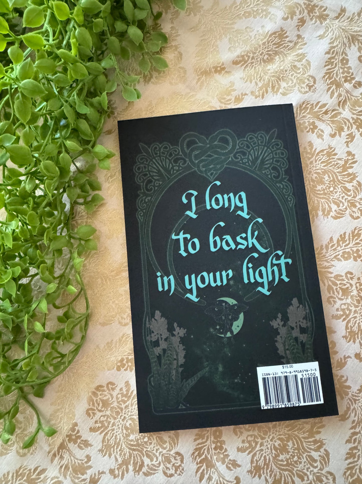 Paperback Taken by a Gorgon